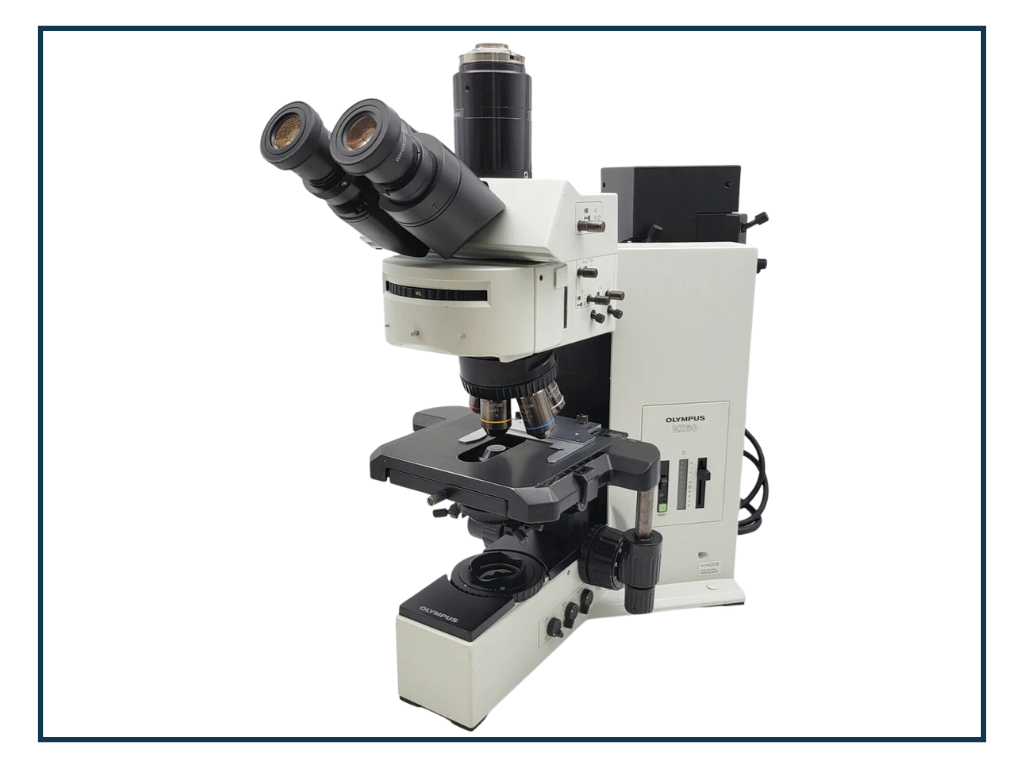 Olympus BX60 Fluorescence Microscope [Refurbished] - Main Image