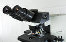 Olympus BX40 Microscope [Refurbished]