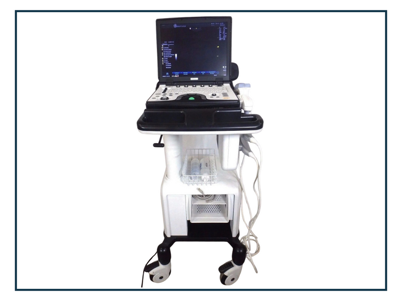 GE Logiq E Ultrasound System with 2 Transducers [Refurbished]